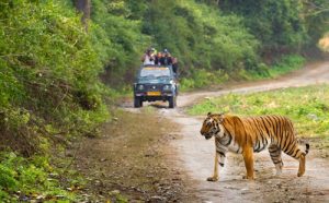 Uttarakhand Holiday Package