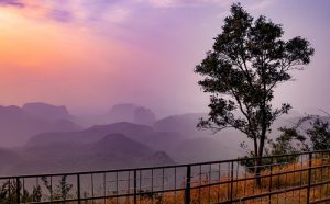 Nature's Treasure Bhopal, Pachmarhi, Kanha & Jabalpur