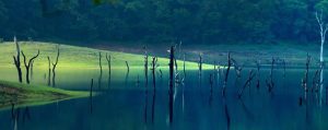 Thekkady